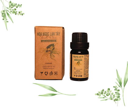 Tinh Dầu Ngọc Lan Tây - Ylang Ylang Essetial Oil