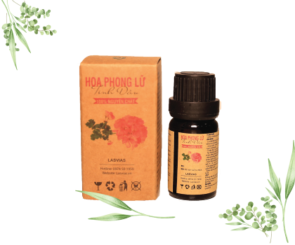 Tinh Dầu Hoa Phong Lữ - Geraniums Essetial Oil